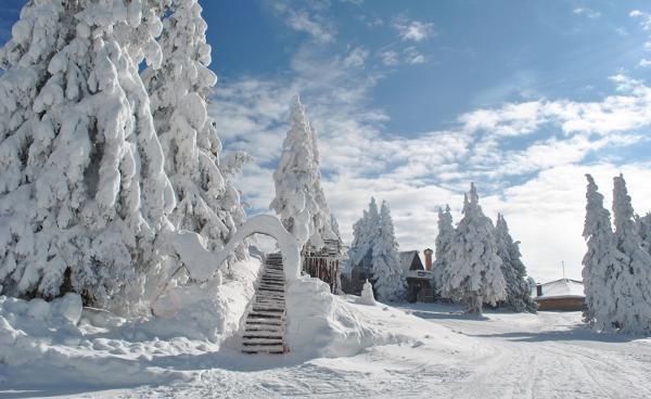 Studio Atlantic Pamporovo Exterior photo