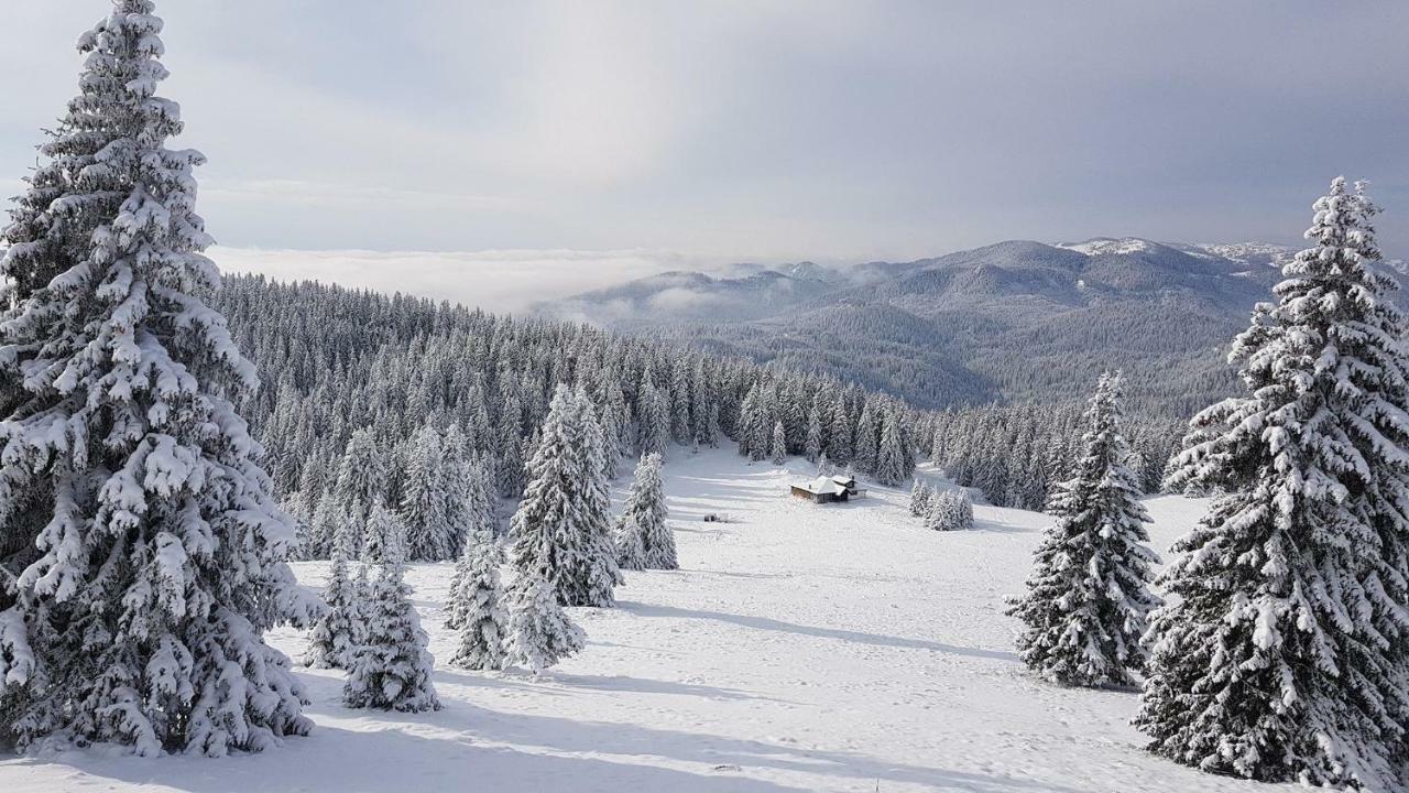 Studio Atlantic Pamporovo Exterior photo
